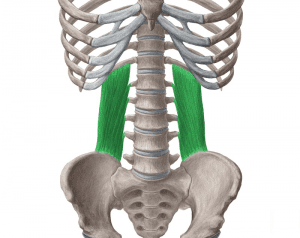 how to correct lateral pelvic tilt